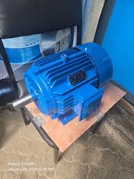 Electric Motor